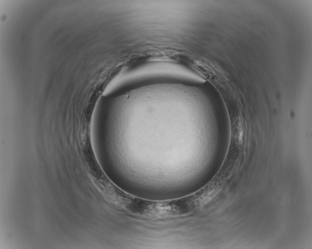 X0000064750607200602101214