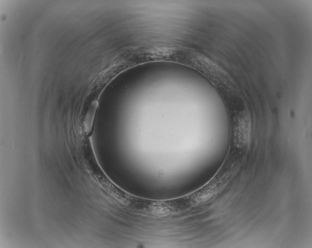 X0000064750608200602101214