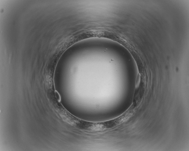 X0000064750609200602101214