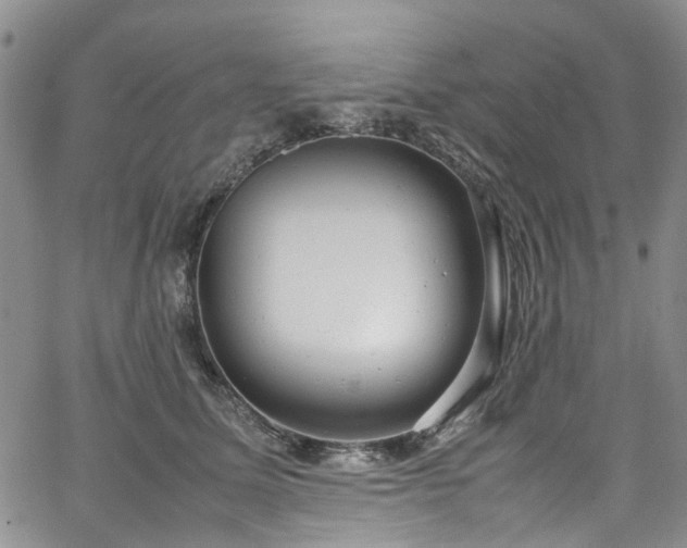 X0000064750611200602101214