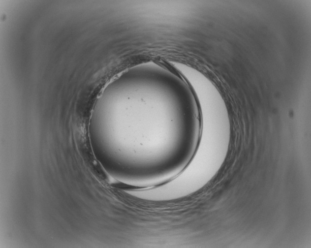 X0000064750613200602101214