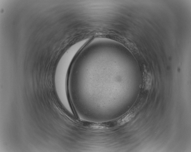 X0000064750614200602101214