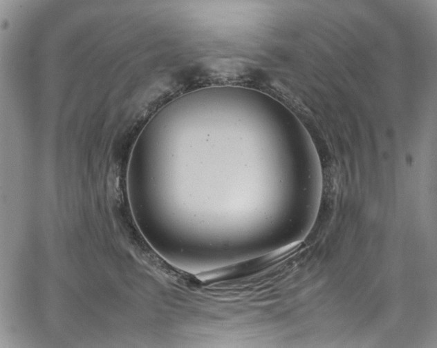 X0000064750615200602101214