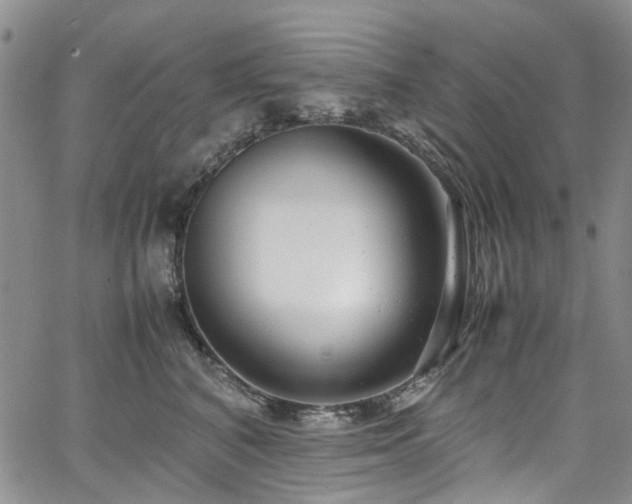 X0000064750616200602101214