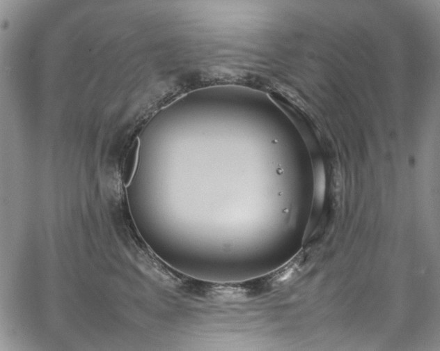 X0000064750617200602101214