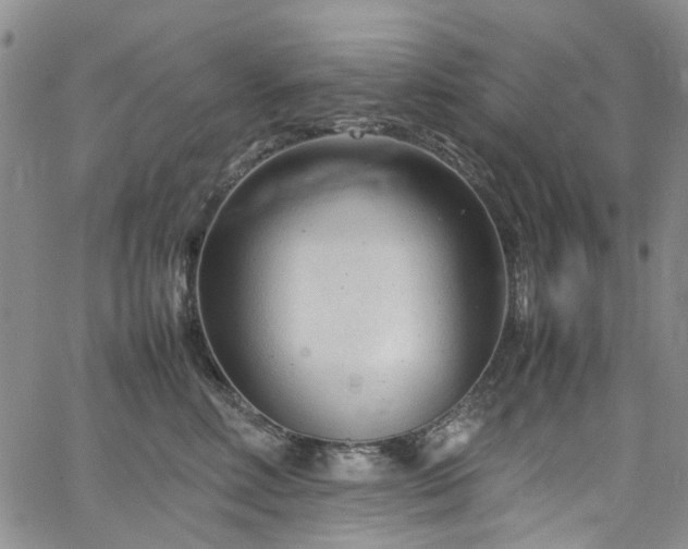 X0000064750618200602101214