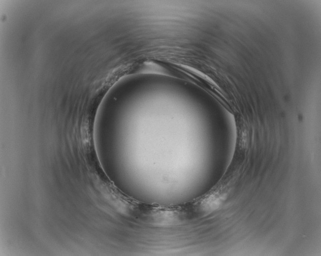 X0000064750620200602101214