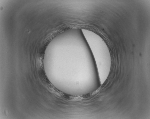 X0000064750621200602101214