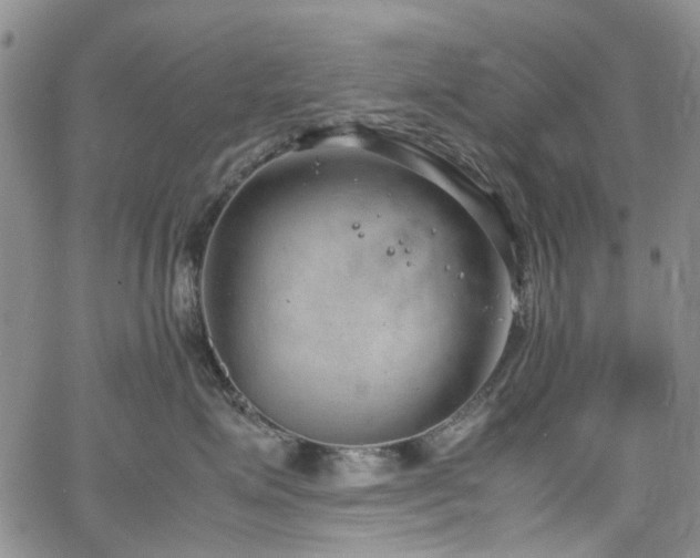 X0000064750623200602101214