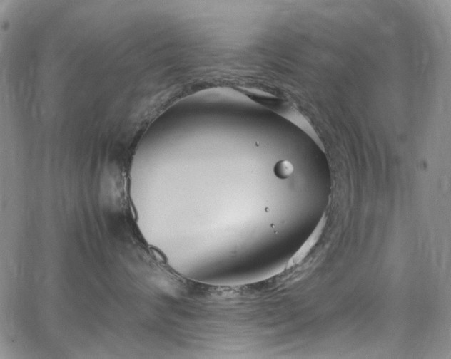 X0000064750624200602101214