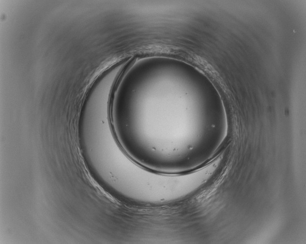 X0000064750625200602101213