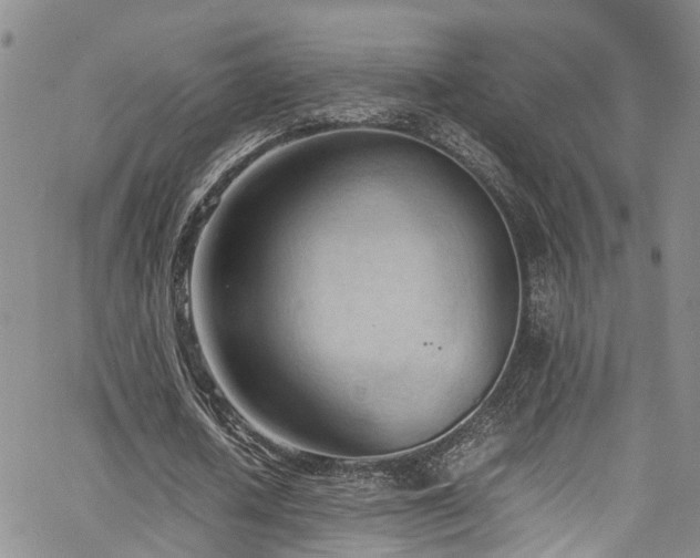 X0000064750626200602101213