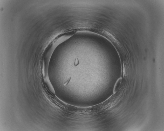 X0000064750627200602101213