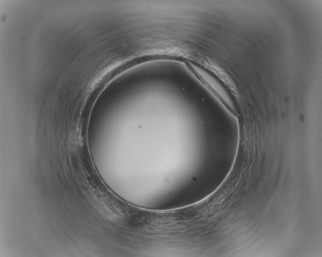 X0000064750628200602101213