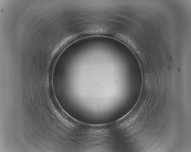 X0000064750629200602101213