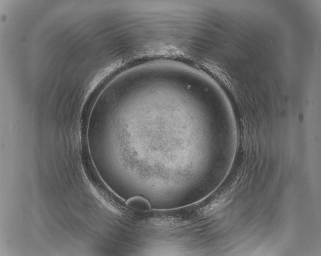 X0000064750630200602101213