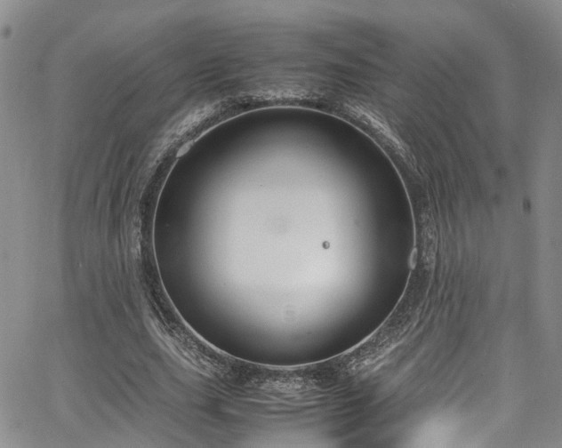 X0000064750631200602101214