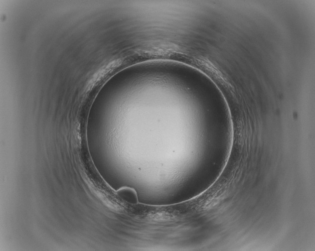 X0000064750634200602101214