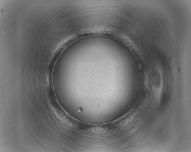 X0000064750636200602101214