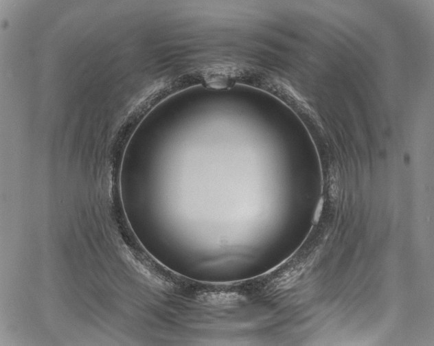 X0000064750637200602101214