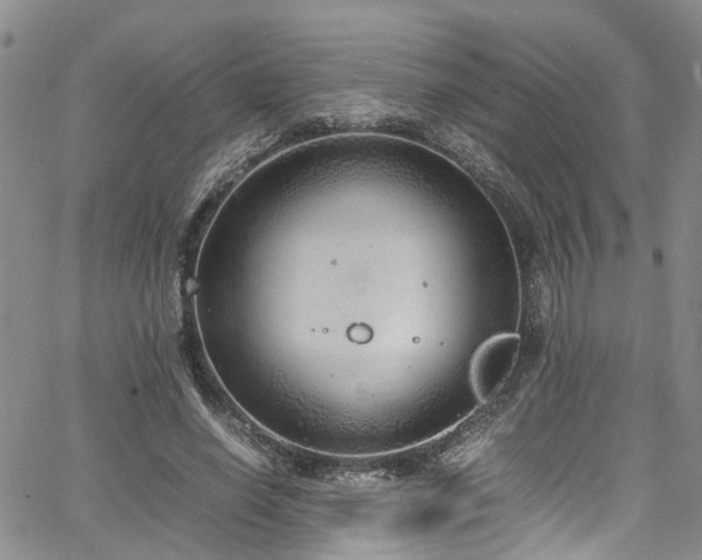 X0000064750638200602101214