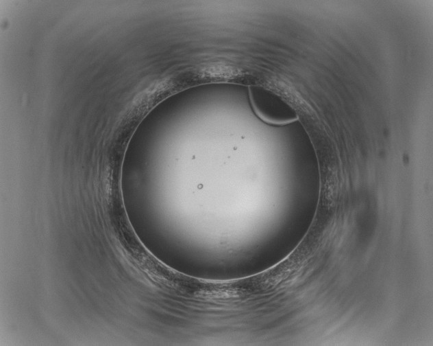 X0000064750639200602101214