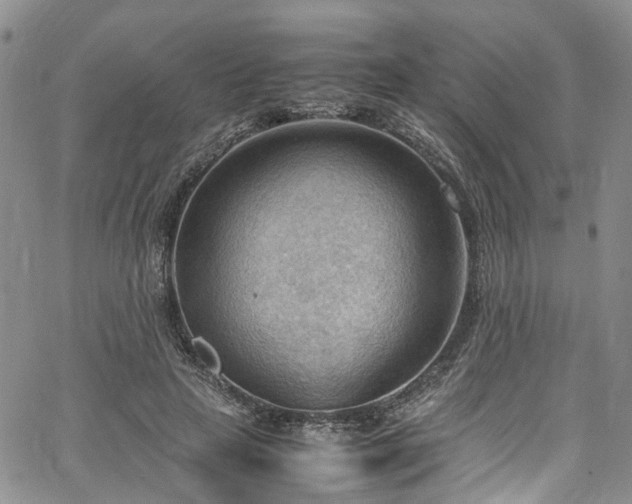 X0000064750641200602101214