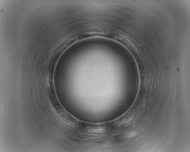 X0000064750643200602101214