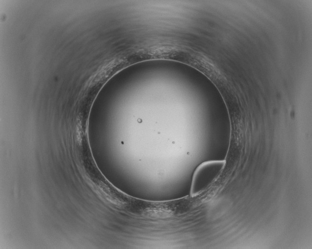 X0000064750644200602101214