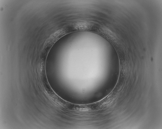 X0000064750645200602101214