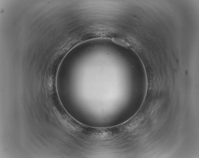 X0000064750646200602101214