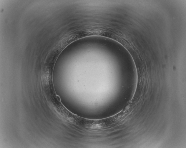 X0000064750647200602101214