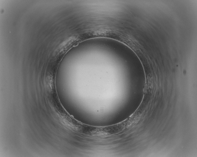 X0000064750648200602101214