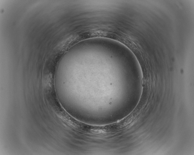 X0000064750649200602101214