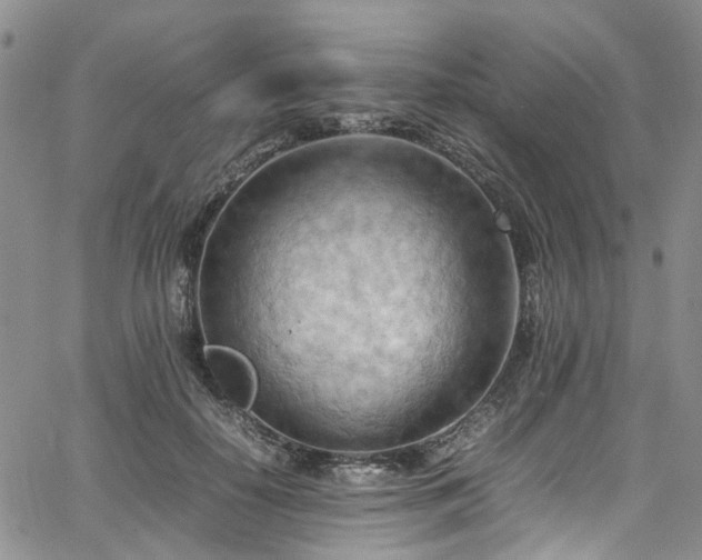 X0000064750650200602101214