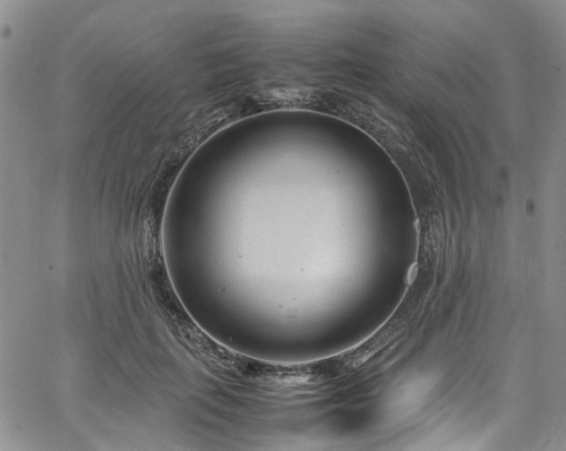 X0000064750651200602101214