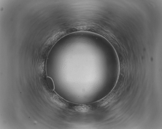 X0000064750652200602101214