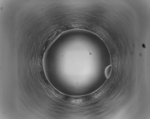 X0000064750653200602101214