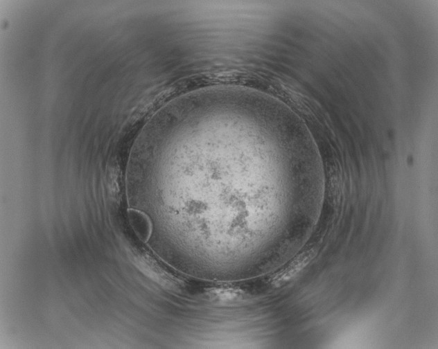 X0000064750654200602101214