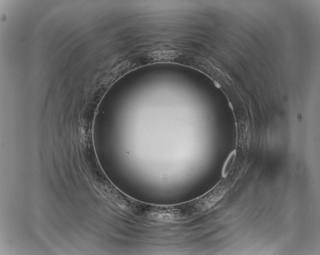 X0000064750655200602101214