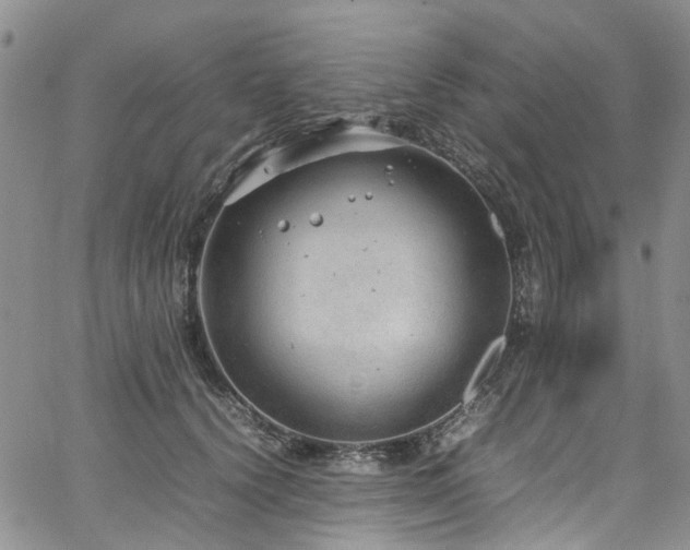 X0000064750656200602101214