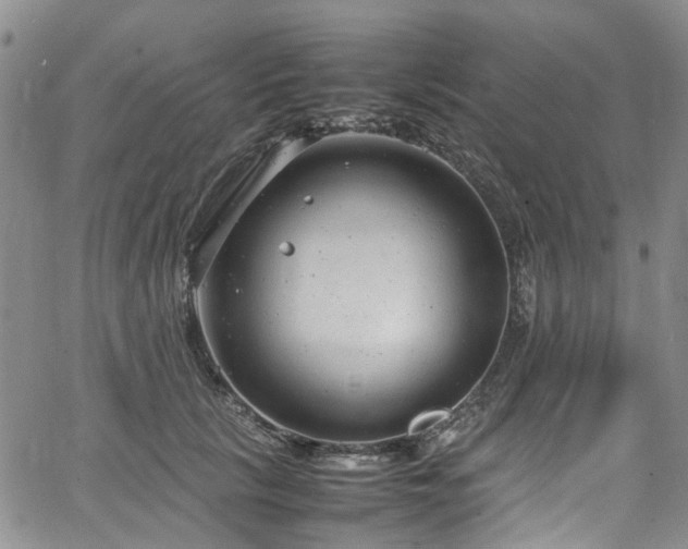 X0000064750657200602101214