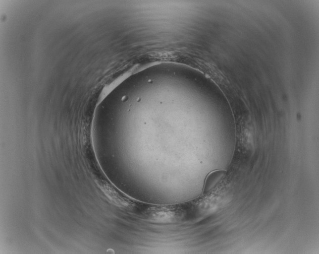 X0000064750658200602101214