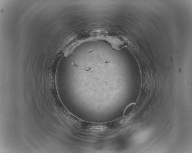 X0000064750659200602101214