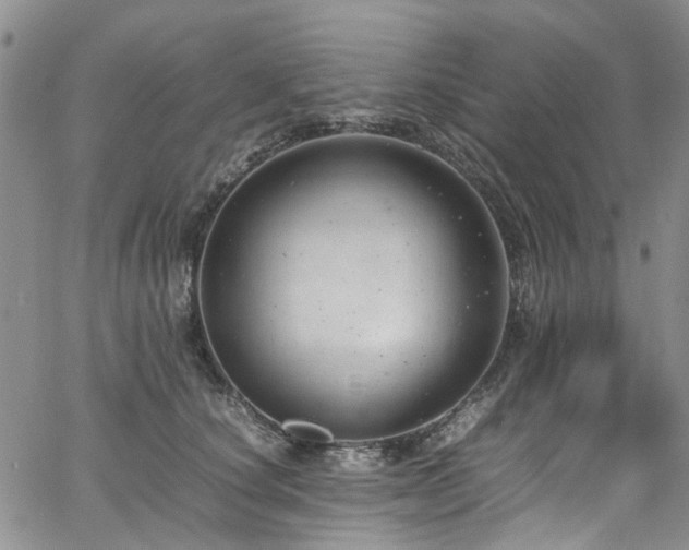 X0000064750660200602101214