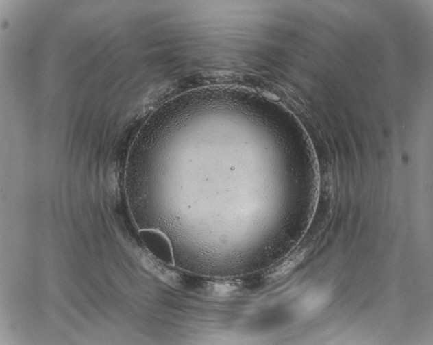 X0000064750662200602101214