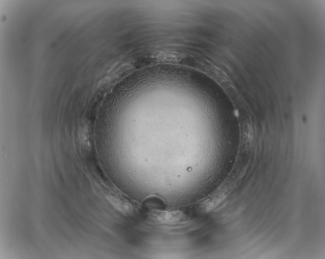 X0000064750663200602101214