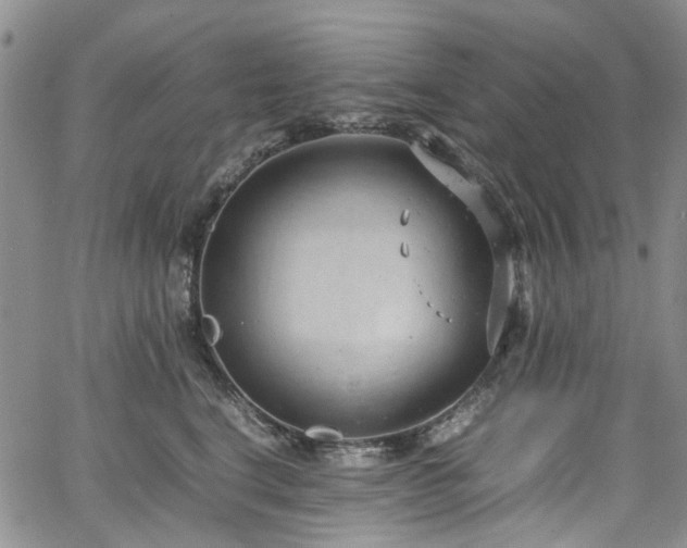 X0000064750664200602101214