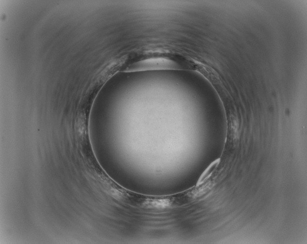 X0000064750665200602101214