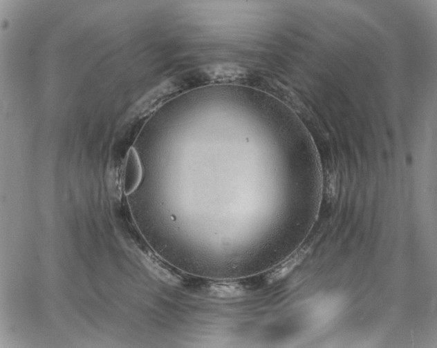 X0000064750666200602101214